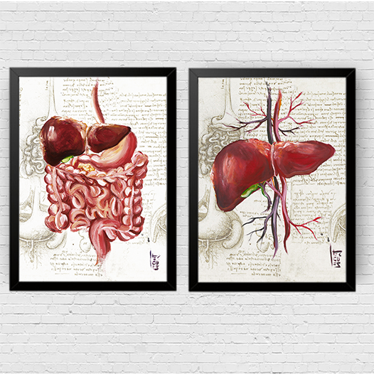 Quadros pôster anatomia: Sistema Digestório e Fígado Leonardo da Vinci