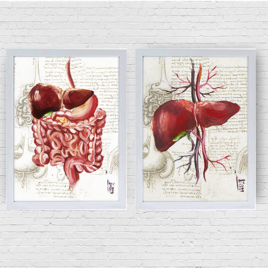 Quadros pôster anatomia: Sistema Digestório e Fígado Leonardo da Vinci