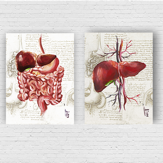 Quadros pôster anatomia: Sistema Digestório e Fígado Leonardo da Vinci