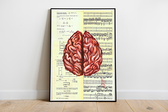 Póster decorativo Anatomía Neurología y Psicología – El cerebro y sus dos hemisferios™ 
