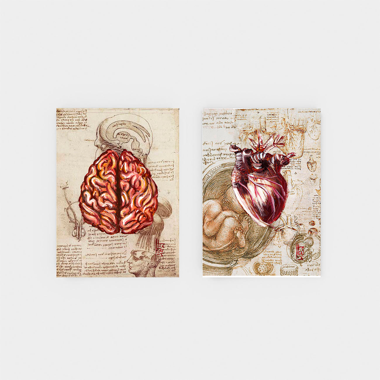 Anatomía del marco del cartel Hombre de Vitruvio con sistema circulatorio Leonardo da Vinci 