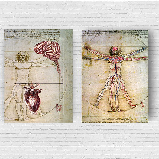 Conjunto de Quadros pôster anatomia Coração e Cérebro , Homem vitruviano Leonardo da Vinci