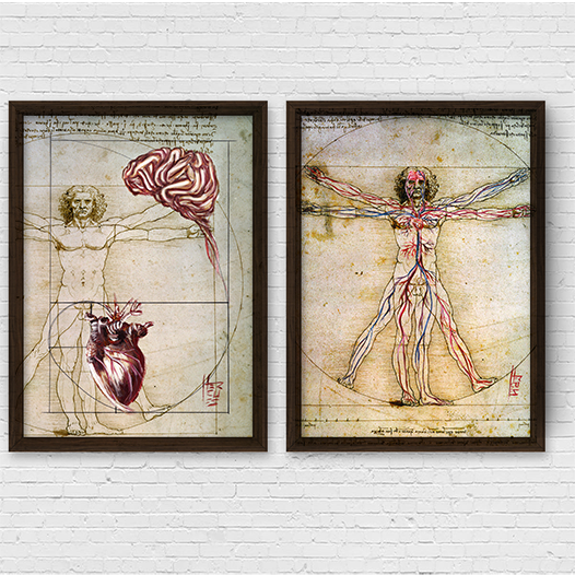 Conjunto de Quadros pôster anatomia Coração e Cérebro , Homem vitruviano Leonardo da Vinci