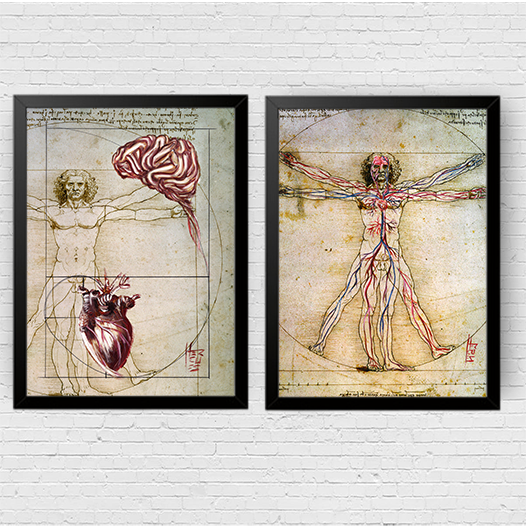 Conjunto de Quadros pôster anatomia Coração e Cérebro , Homem vitruviano Leonardo da Vinci