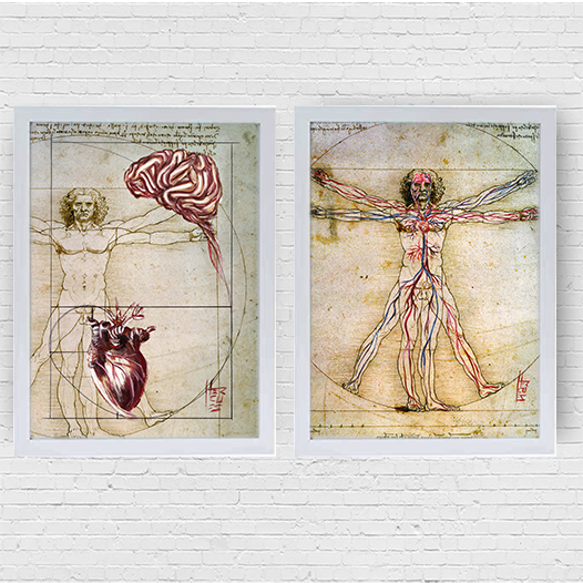 Conjunto de Quadros pôster anatomia Coração e Cérebro , Homem vitruviano Leonardo da Vinci