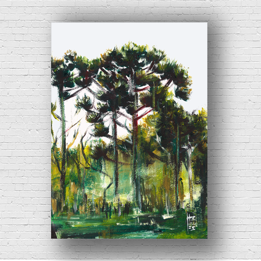 Quadro pôster Floresta de Araucárias
