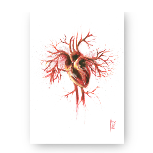 Marco de póster de anatomía: Sistema Nervioso 