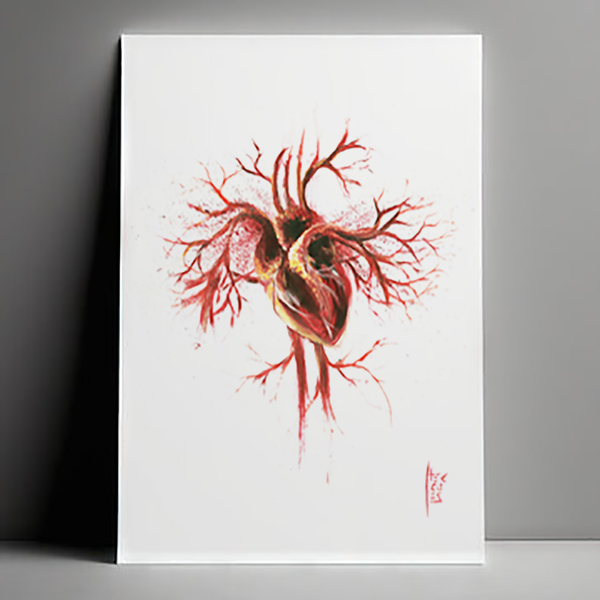 Marco de póster de anatomía: Sistema Nervioso 