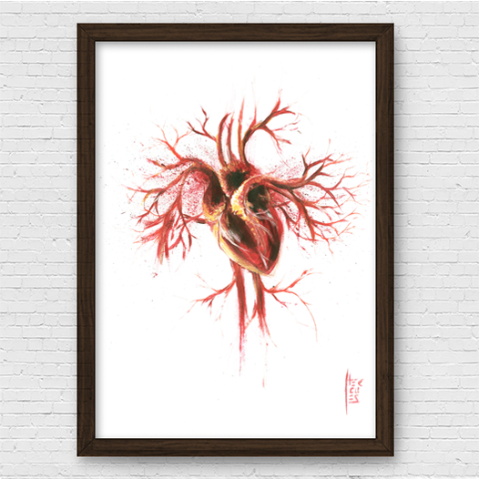 Marco de póster de anatomía: Sistema Nervioso 