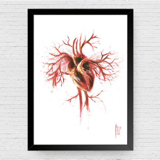 Marco de póster de anatomía: Sistema Nervioso 