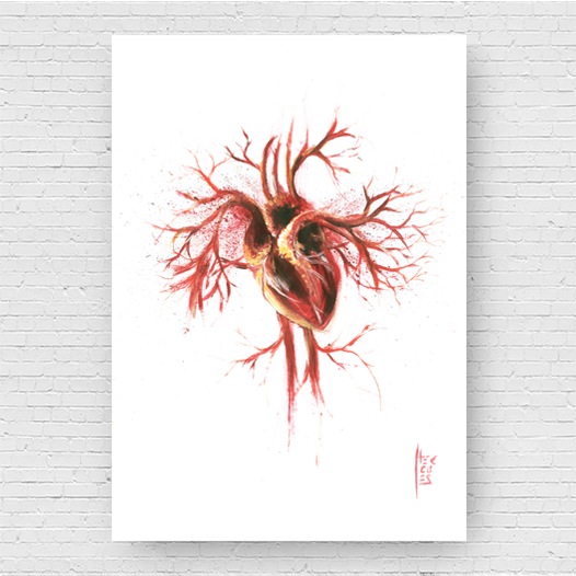 Marco de póster de anatomía: Sistema Nervioso 