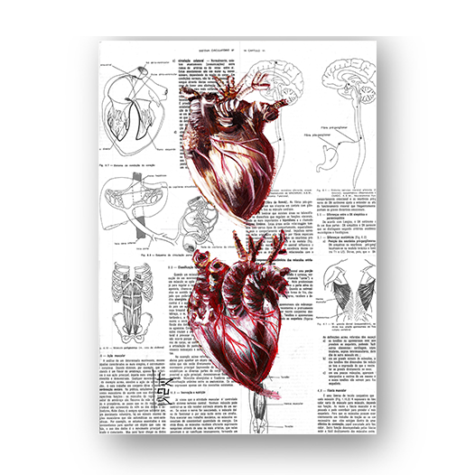 Póster, marco, anatomía, dos, corazón, libro, página, en el fondo