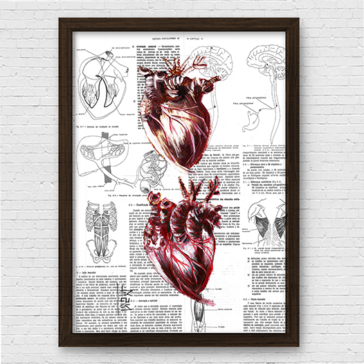 Quadro pôster anatomia dois coração página de livro ao fundo