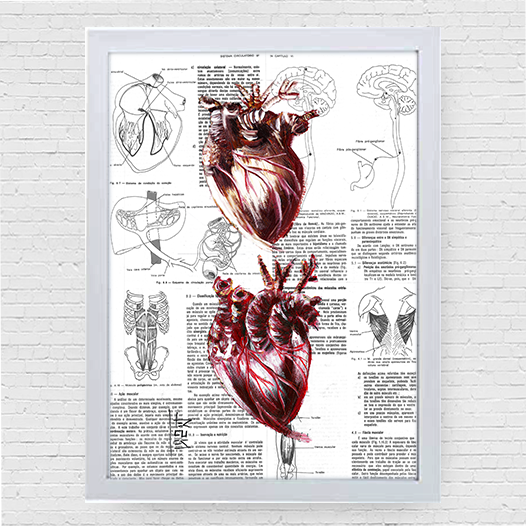 Quadro pôster anatomia dois coração página de livro ao fundo