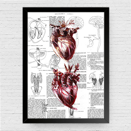 Quadro pôster anatomia dois coração página de livro ao fundo
