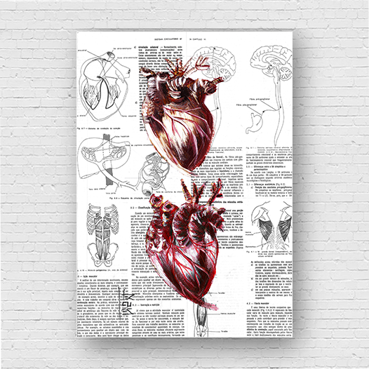 Quadro pôster anatomia dois coração página de livro ao fundo