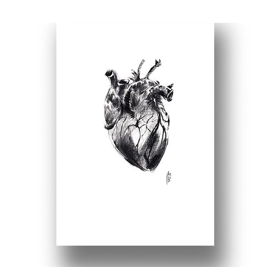 Affiche Anatomie du coeur en graphite noir et blanc 