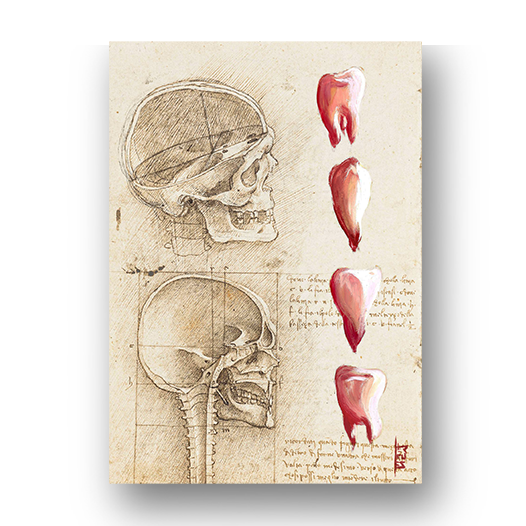 Marco cartel anatomía corazón fondo bosquejo Leonardo Da Vinci 