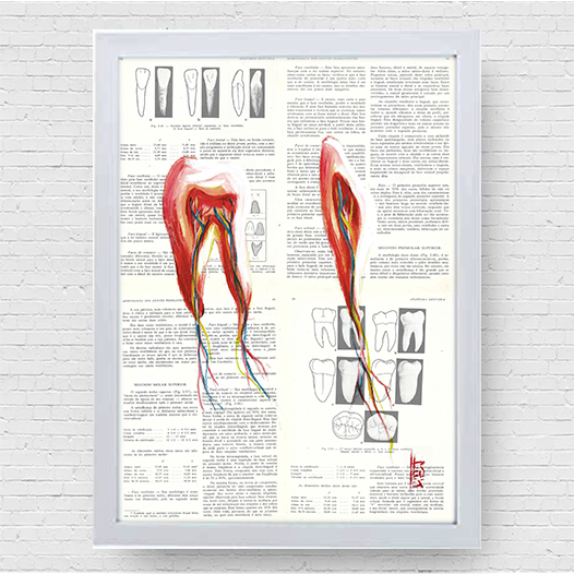 Marco cartel anatomía corazón fondo bosquejo Leonardo Da Vinci 