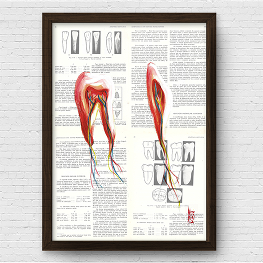 Marco cartel anatomía corazón fondo bosquejo Leonardo Da Vinci 
