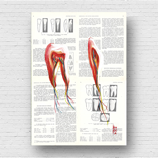 Marco cartel anatomía corazón fondo bosquejo Leonardo Da Vinci 