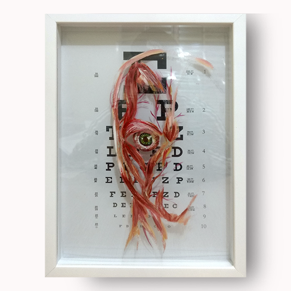Cuadro de Anatomía: Cuadro original Globo ocular con parte del músculo facial - Cuadro de prueba 1