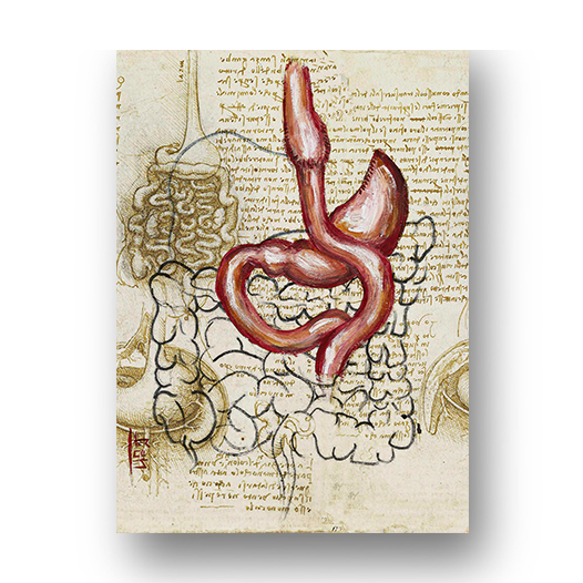 Marco de póster de anatomía: boceto de bypass gástrico del estómago Da vinci 