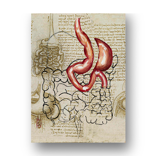 Marco de póster de anatomía: Bosquejo gástrico de la manga del estómago Da vinci 