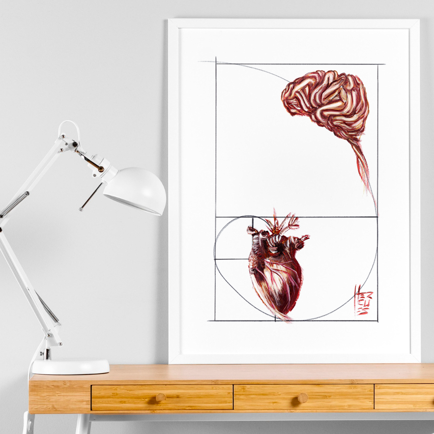 Marco de póster de anatomía: secuencia de Fibonacci de emoción y razón 