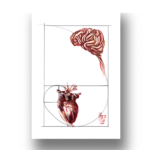 Marco de póster de anatomía: secuencia de Fibonacci de emoción y razón 