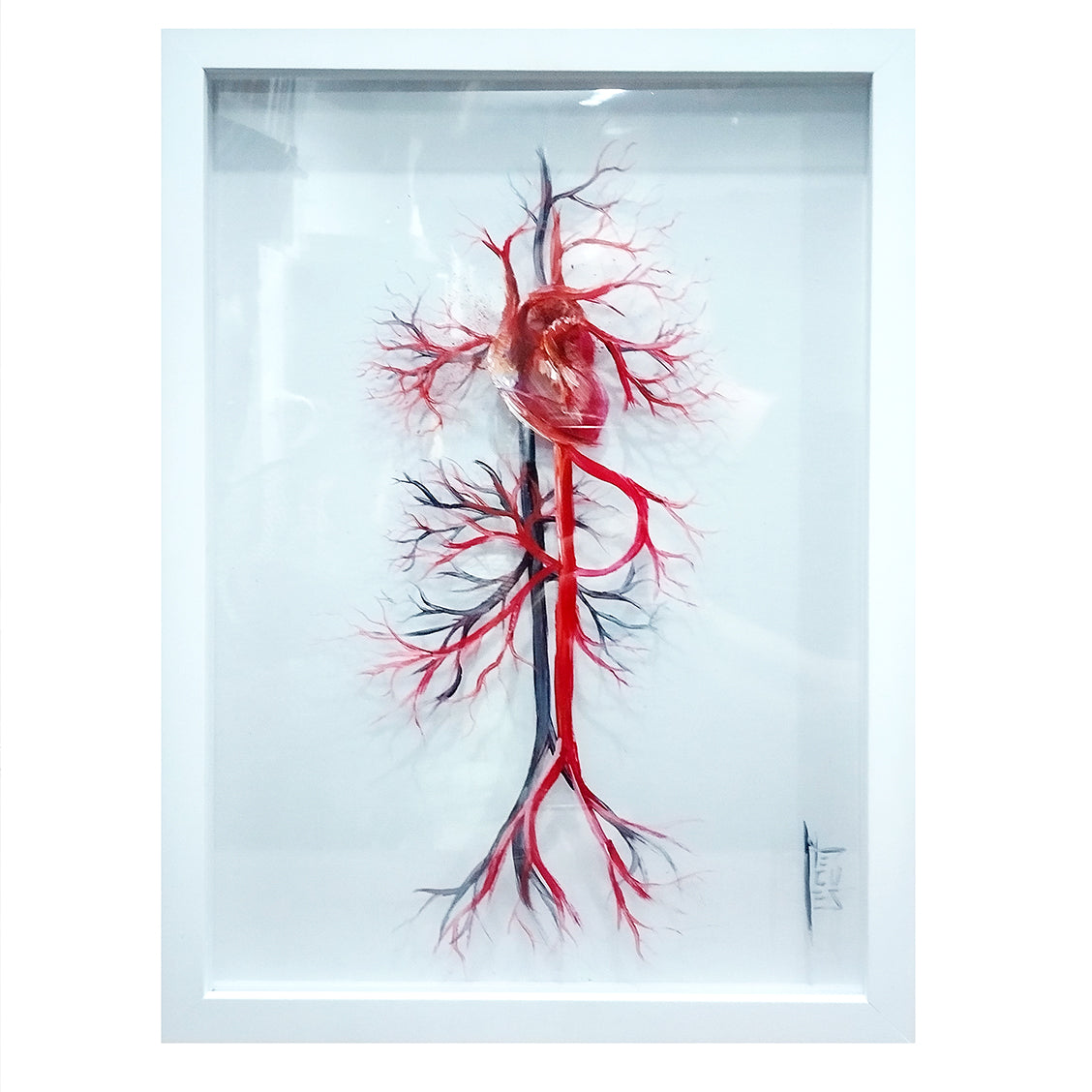 Marco decorativo Anatomía – Sistema vascular con corazón – cardiología | Pintura original™