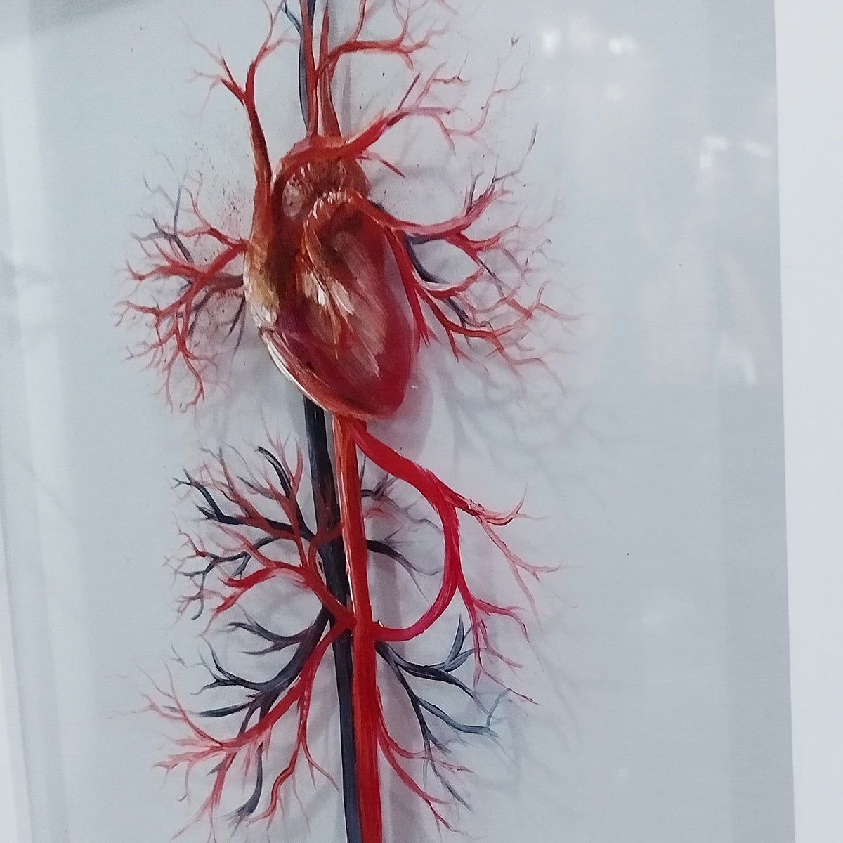 Marco decorativo Anatomía – Sistema vascular con corazón – cardiología | Pintura original™