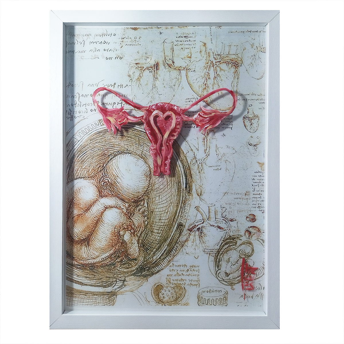 Cuadro decorativo Anatomía: Cuadro original-ginecología Útero Colección Da Vinci 
