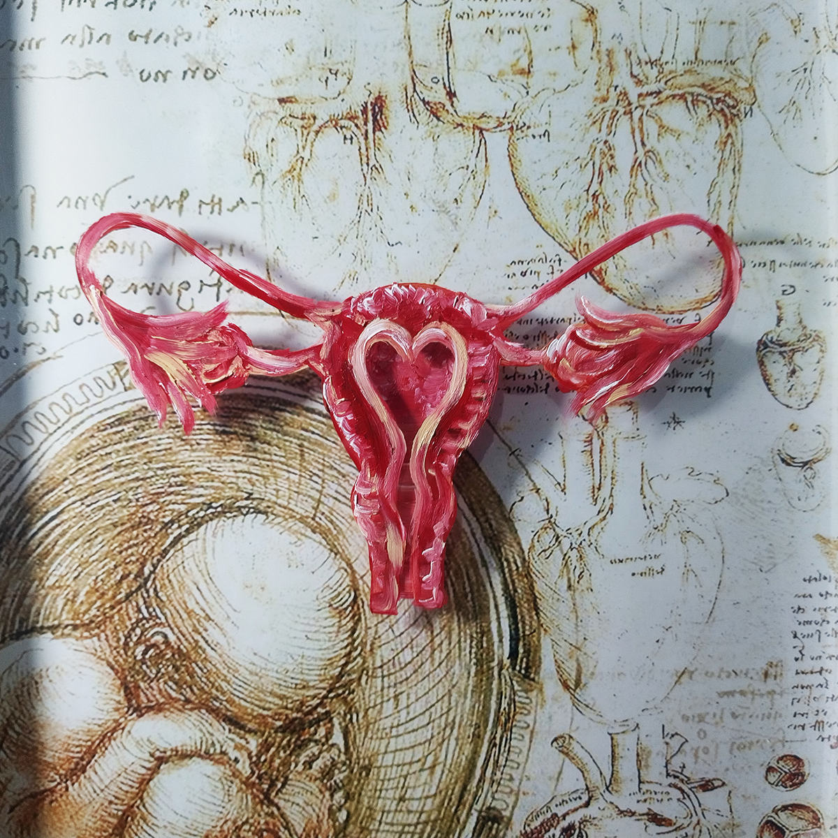 Cuadro decorativo Anatomía: Cuadro original-ginecología Útero Colección Da Vinci 
