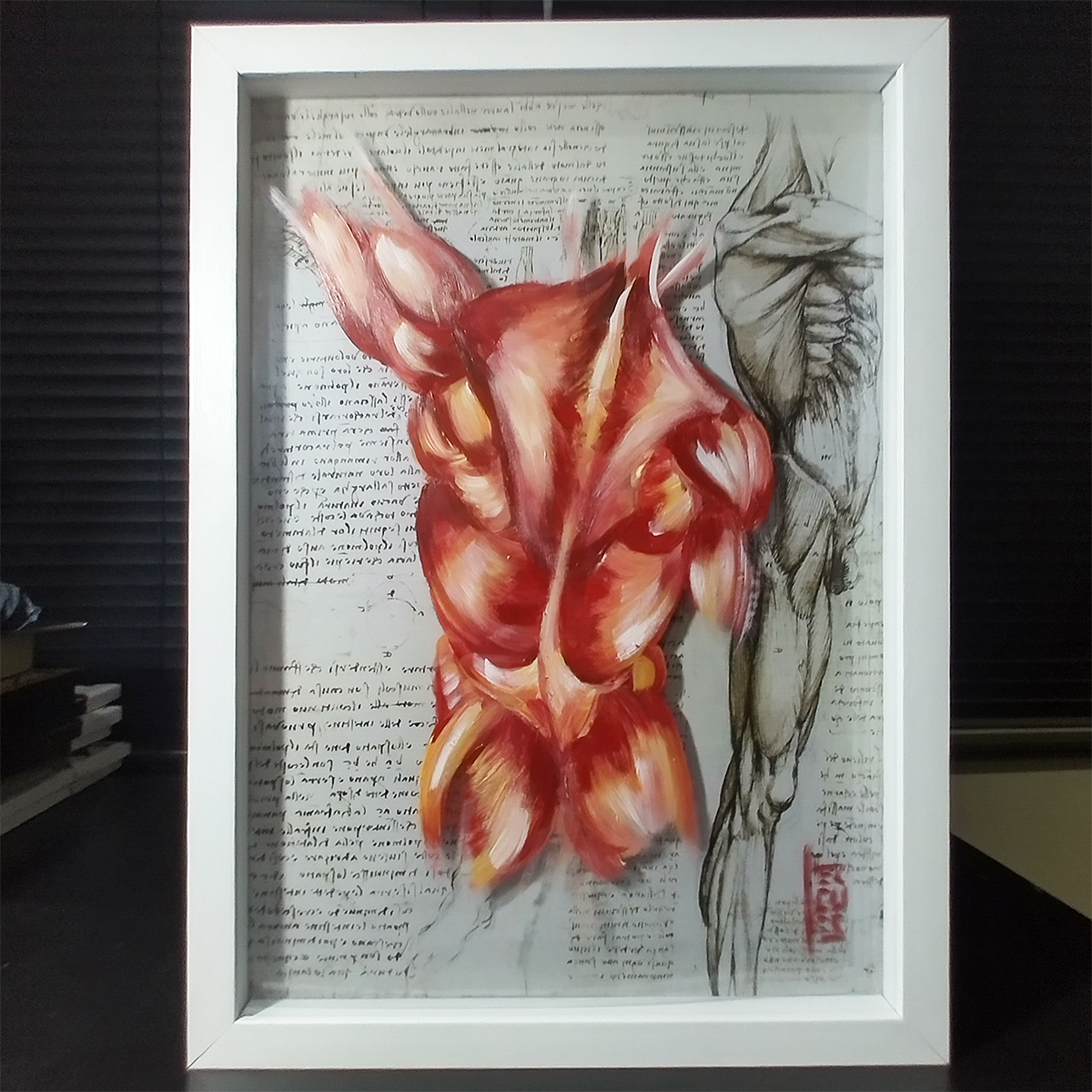 Quadro Anatomia: Pintura original Musculos costas coleção Da Vinci
