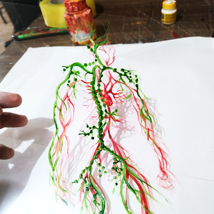 Pintura Anatomía: Sistema vascular de David de Miguel Ángel