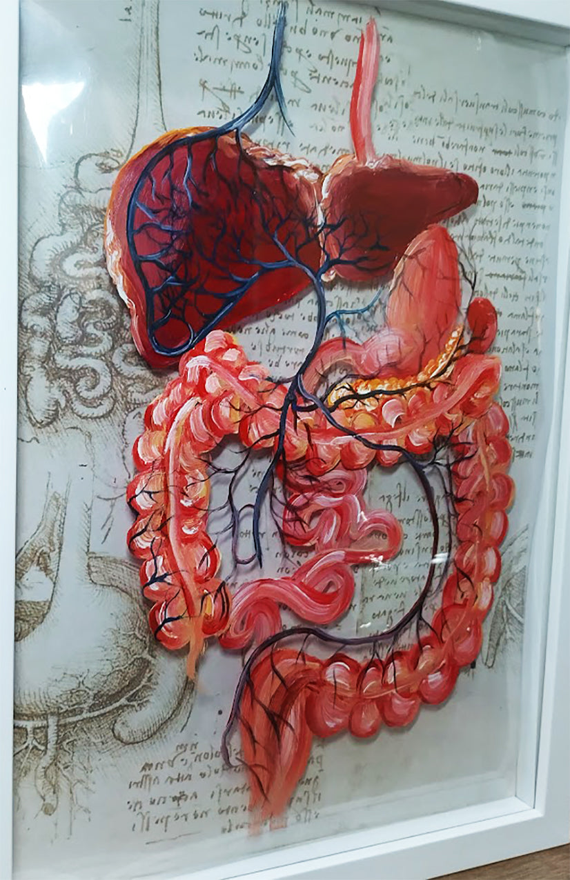 Quadro Anatomia: Pintura original sistema porta hepático com orgões Coleção Leonardo Da Vinci