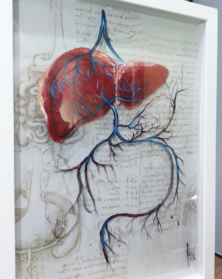 Cuadro Anatomía: Pintura original Vías urinarias con estructura ósea. 