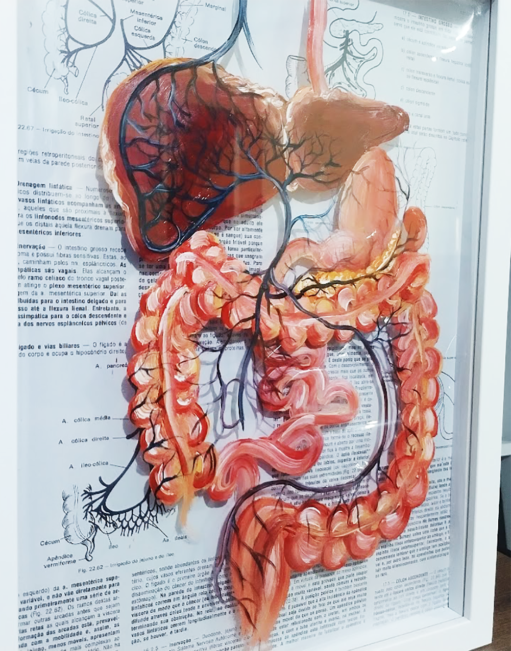 Quadro Anatomia: Pintura original sistema porta hepático com orgões