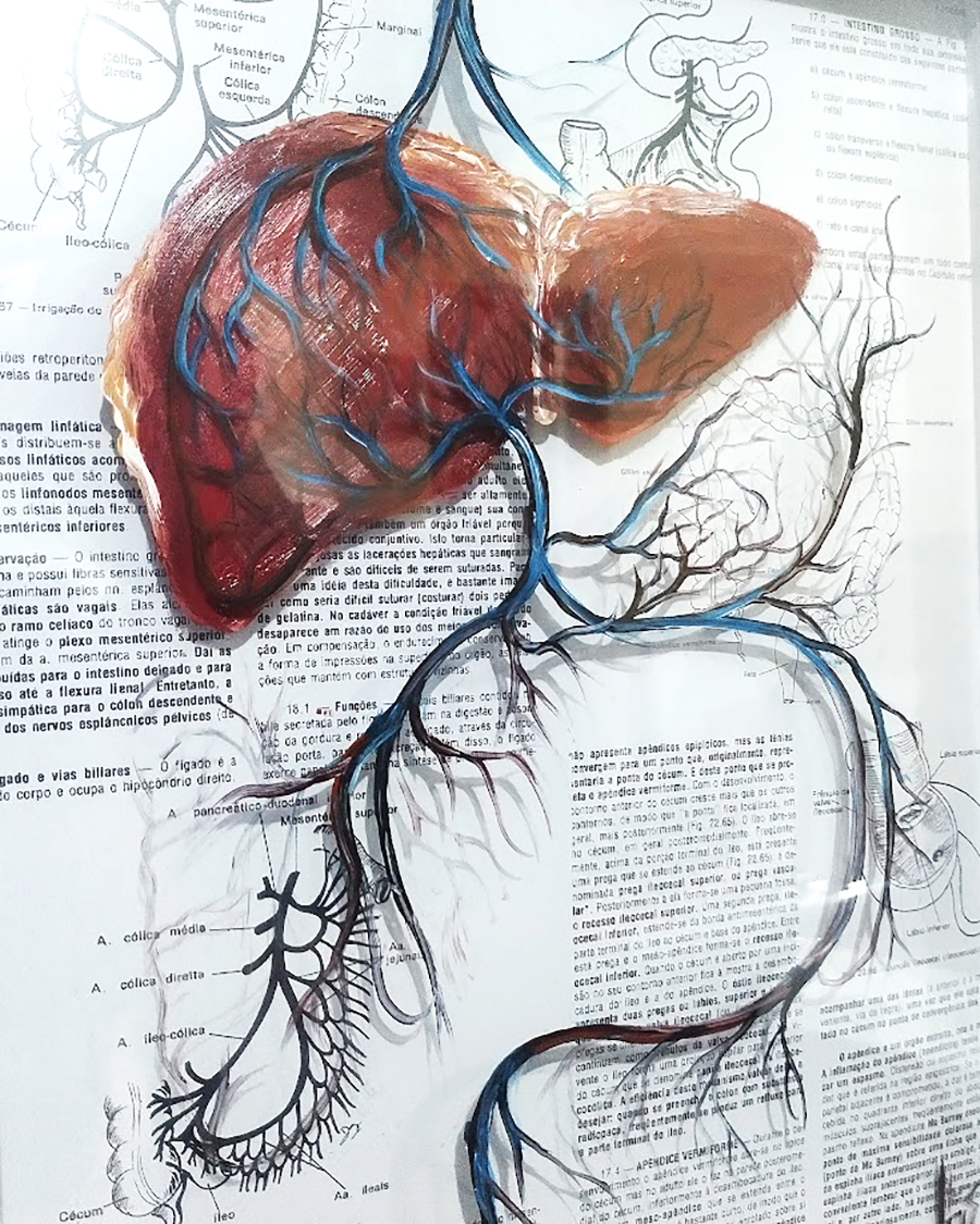 Quadro Anatomia: Pintura original sistema porta hepático
