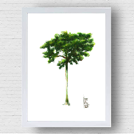 Árbol de Jequitiba Póster 