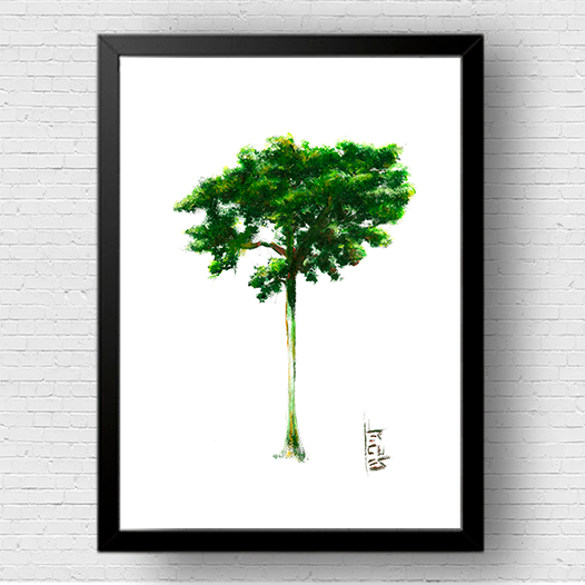 Árbol de Jequitiba Póster 