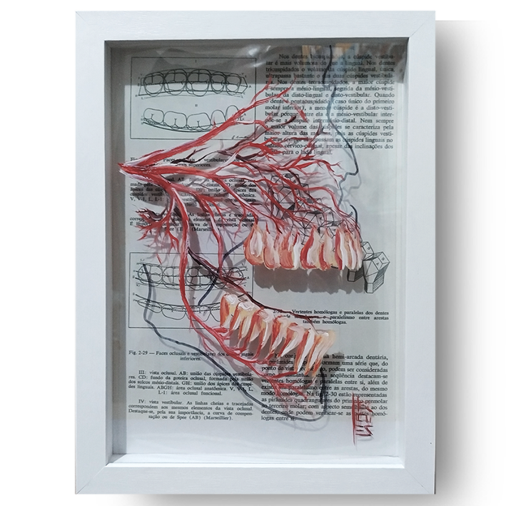 Cuadros en Lienzo Anatomía: pintura original de la página del libro de la arteria bucal en el fondo