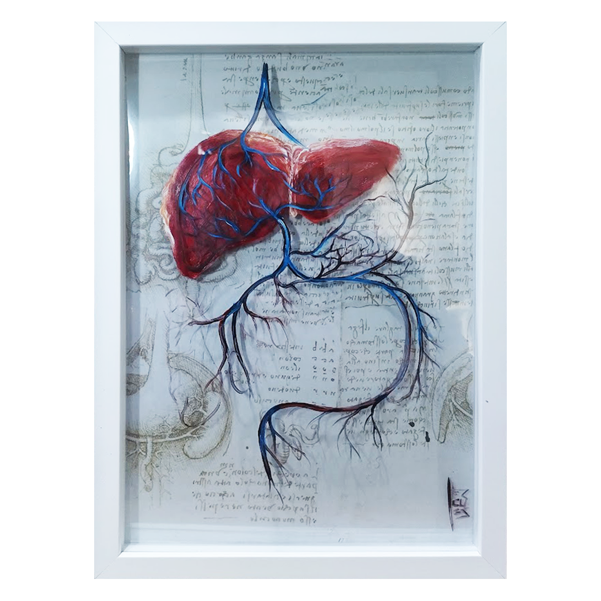 Cuadro Anatomía: Pintura original Vías urinarias con estructura ósea. 
