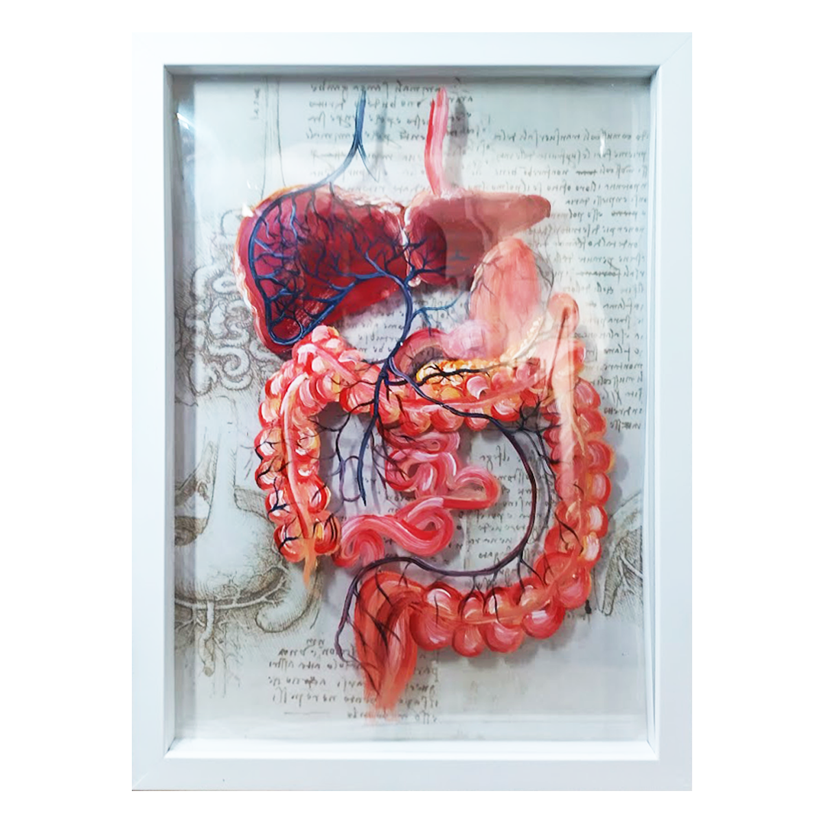 Quadro Anatomia: Pintura original sistema porta hepático com orgões Coleção Leonardo Da Vinci