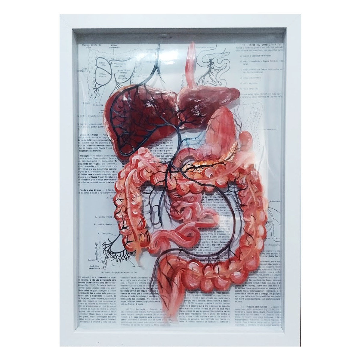 Quadro Anatomia: Pintura original sistema porta hepático com orgões