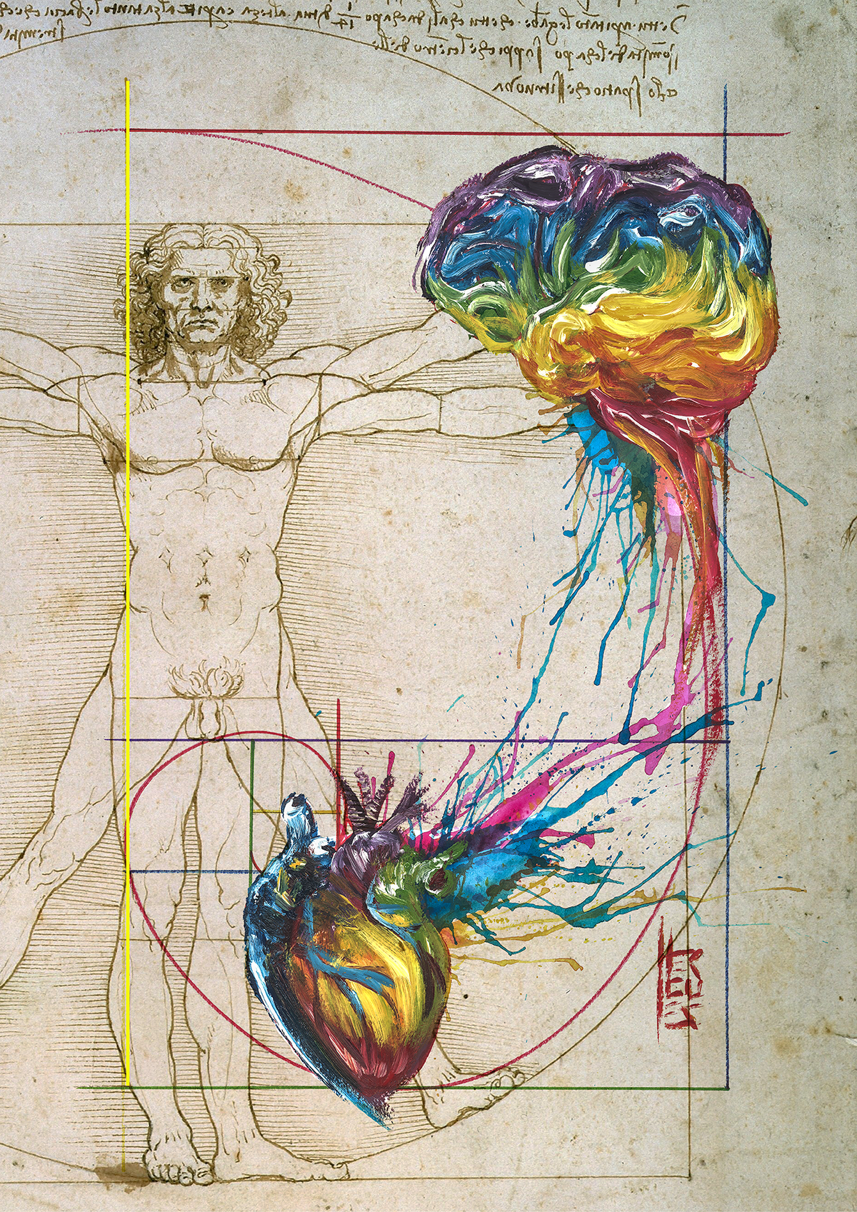 Quadro pôster Anatomia: Coração e Cérebro sequência de Fibonacci lúdico Coleção Leonardo Da Vinci