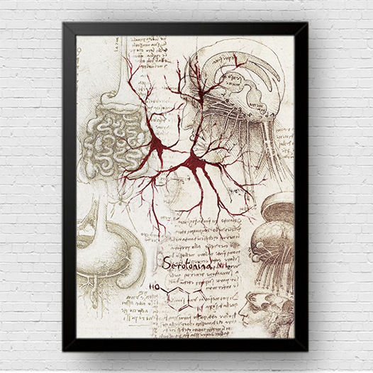 Quadro pôster anatomia Coleção Leonardo Da Vinci: Neurotransmissor serotonina com fórmula molecular (cópia)