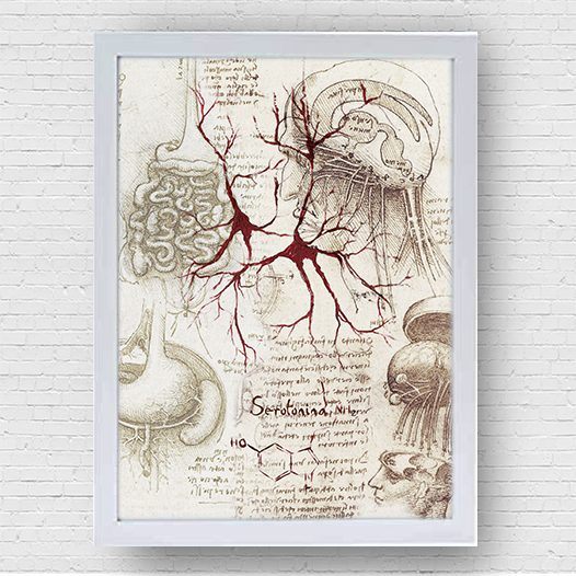 Quadro pôster anatomia Coleção Leonardo Da Vinci: Neurotransmissor serotonina com fórmula molecular (cópia)