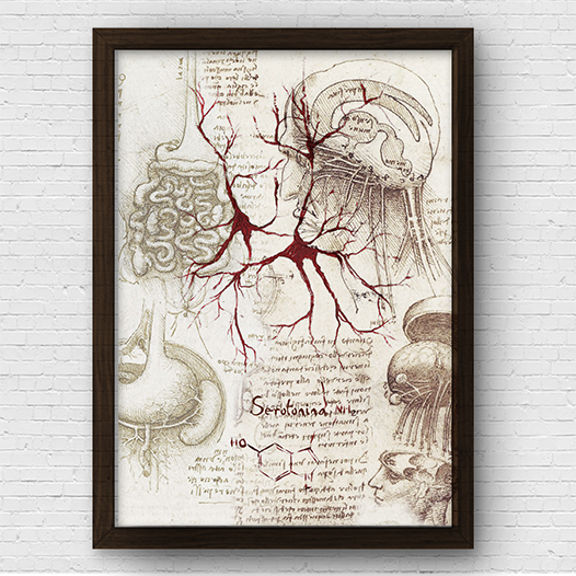 Quadro pôster anatomia Coleção Leonardo Da Vinci: Neurotransmissor serotonina com fórmula molecular (cópia)